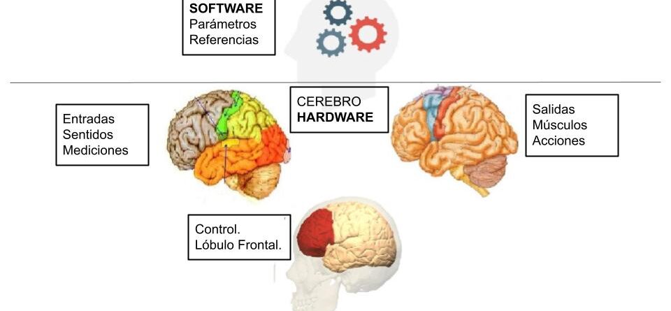 Como funciona a mente de uma pessoa com ansiedade?