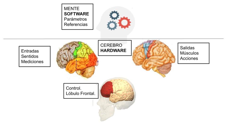 Como funciona a mente de uma pessoa com ansiedade?