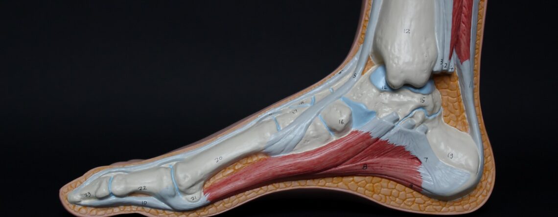 Quando começou a fisioterapia pélvica?